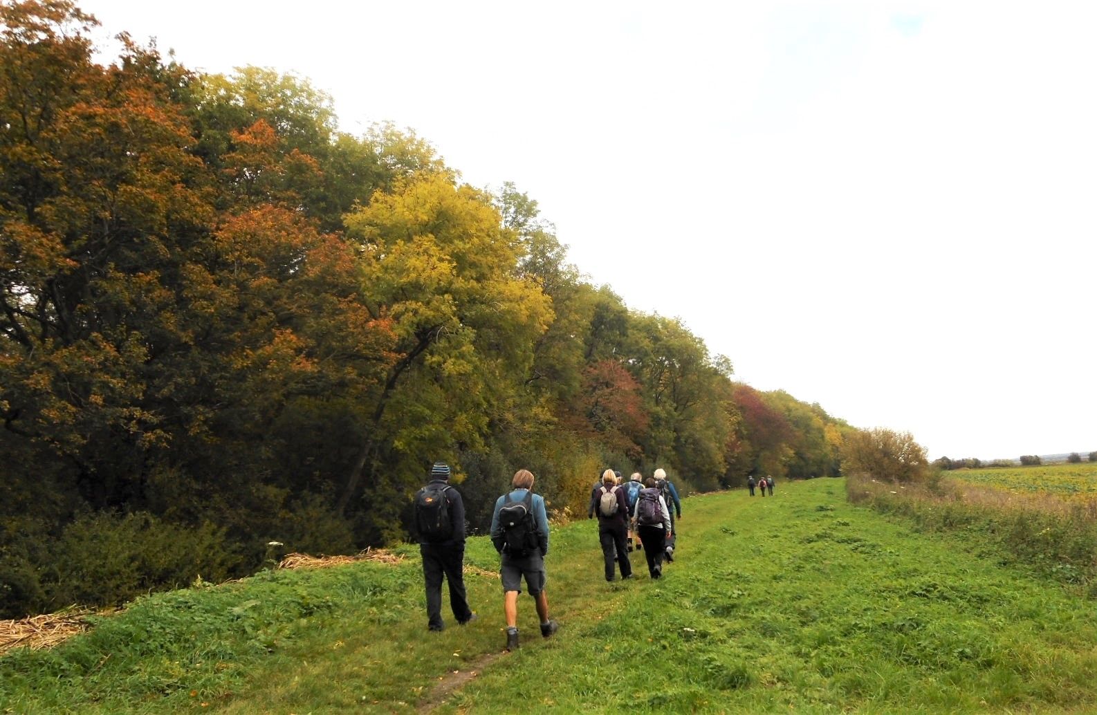 Potterhanworth Woods